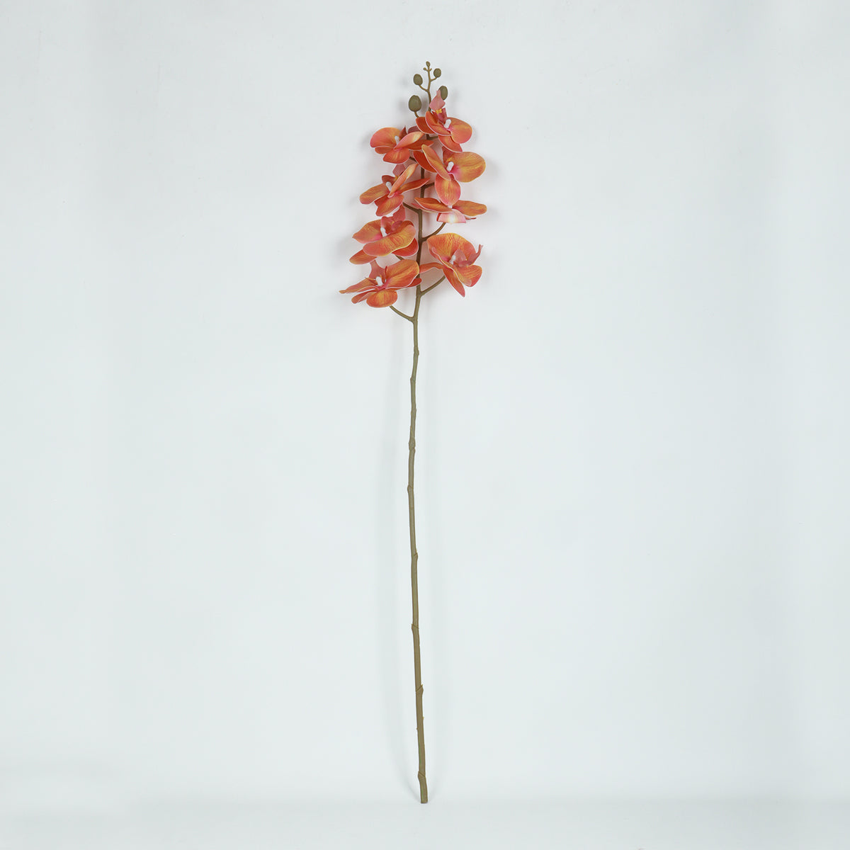 Phalaenopsis Orange Flower - Accessories | Vinoti Living