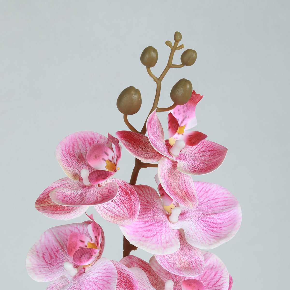Phalaenopsis Pink Flower - Accessories | Vinoti Living