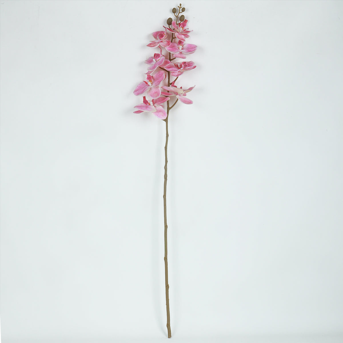 Phalaenopsis Pink Flower - Accessories | Vinoti Living