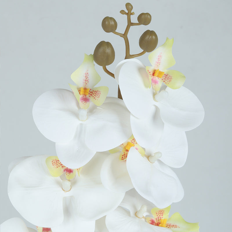 Phalaenopsis Snow Flower - Accessories | Vinoti Living