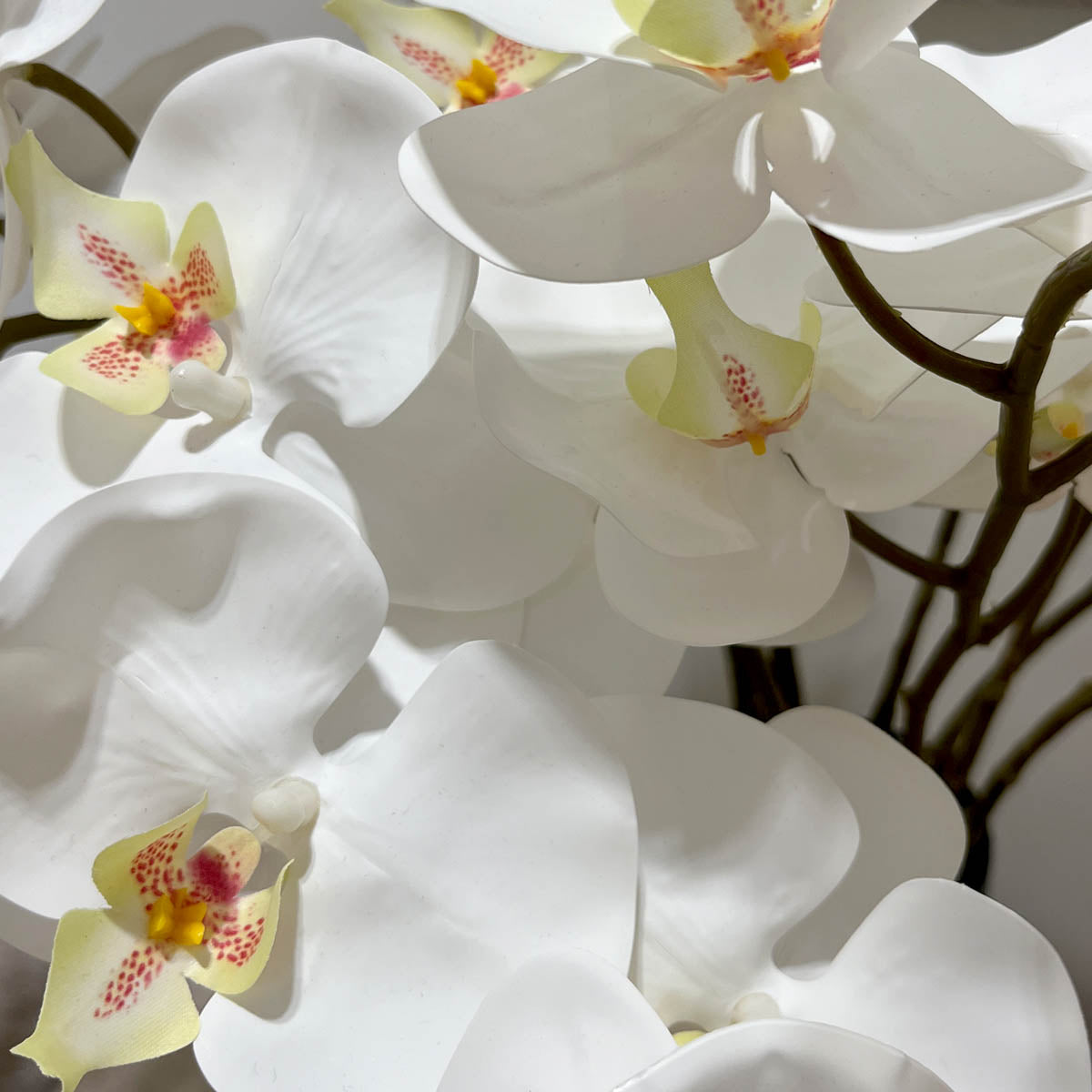 Phalaenopsis White Flower - Accessories | Vinoti Living