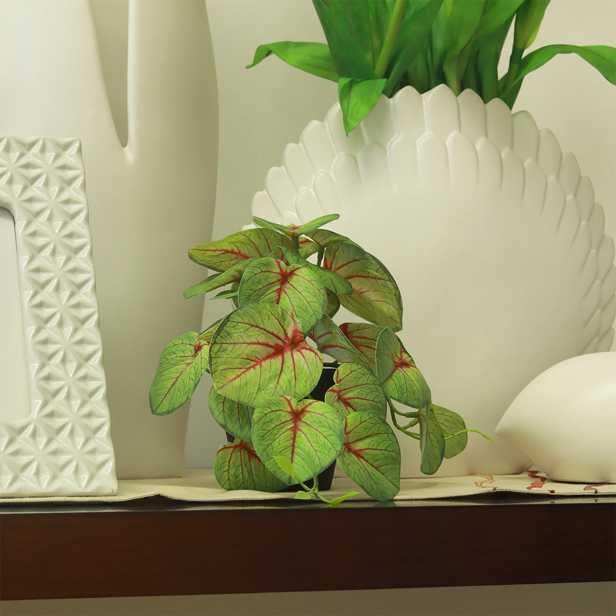 Pilea In Pot Green Red Flower - Accessories | Vinoti Living