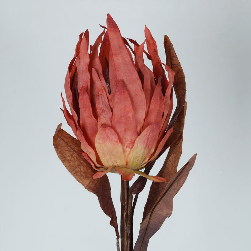 Protea Sunset Flower - Accessories | Vinoti Living