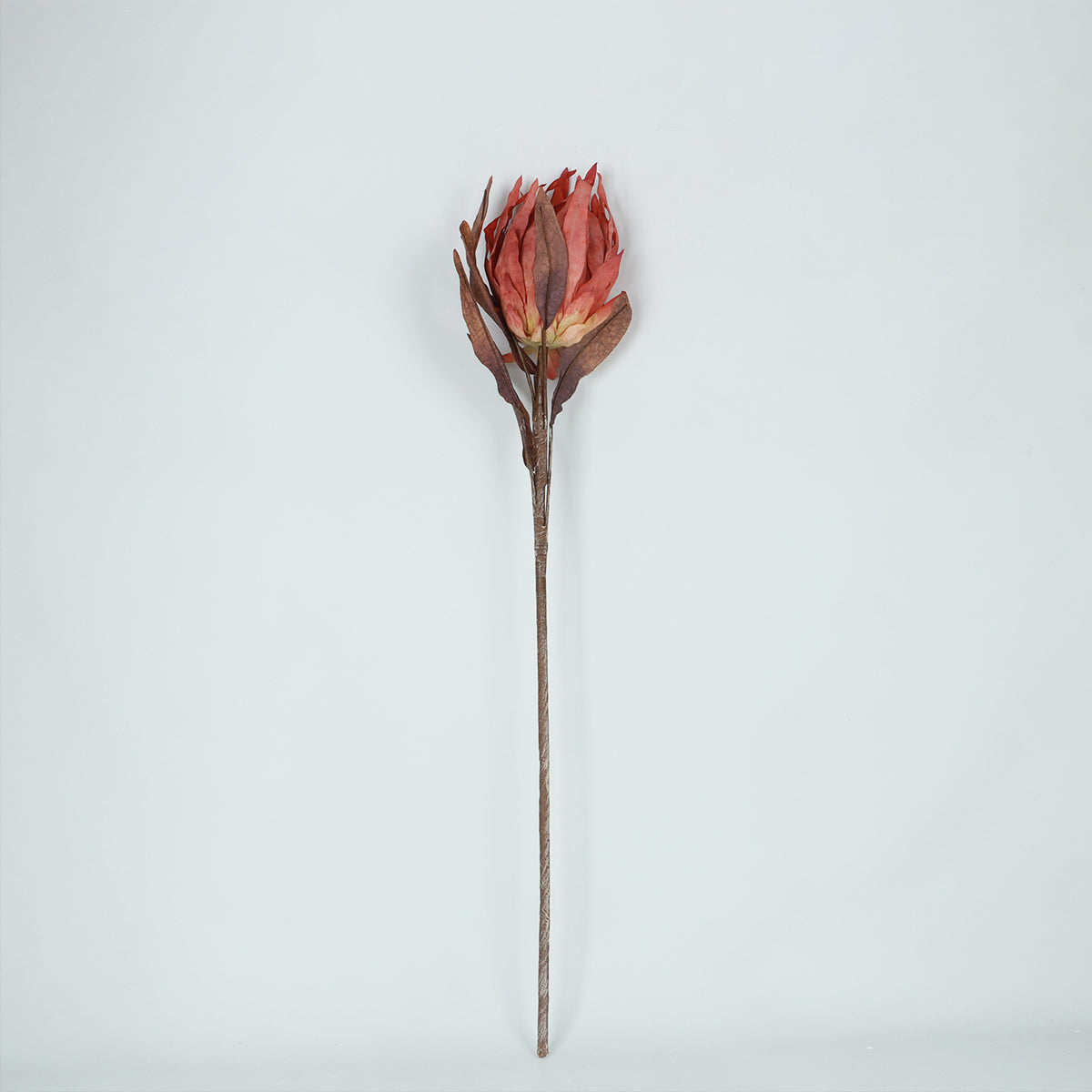Protea Sunset Flower - Accessories | Vinoti Living