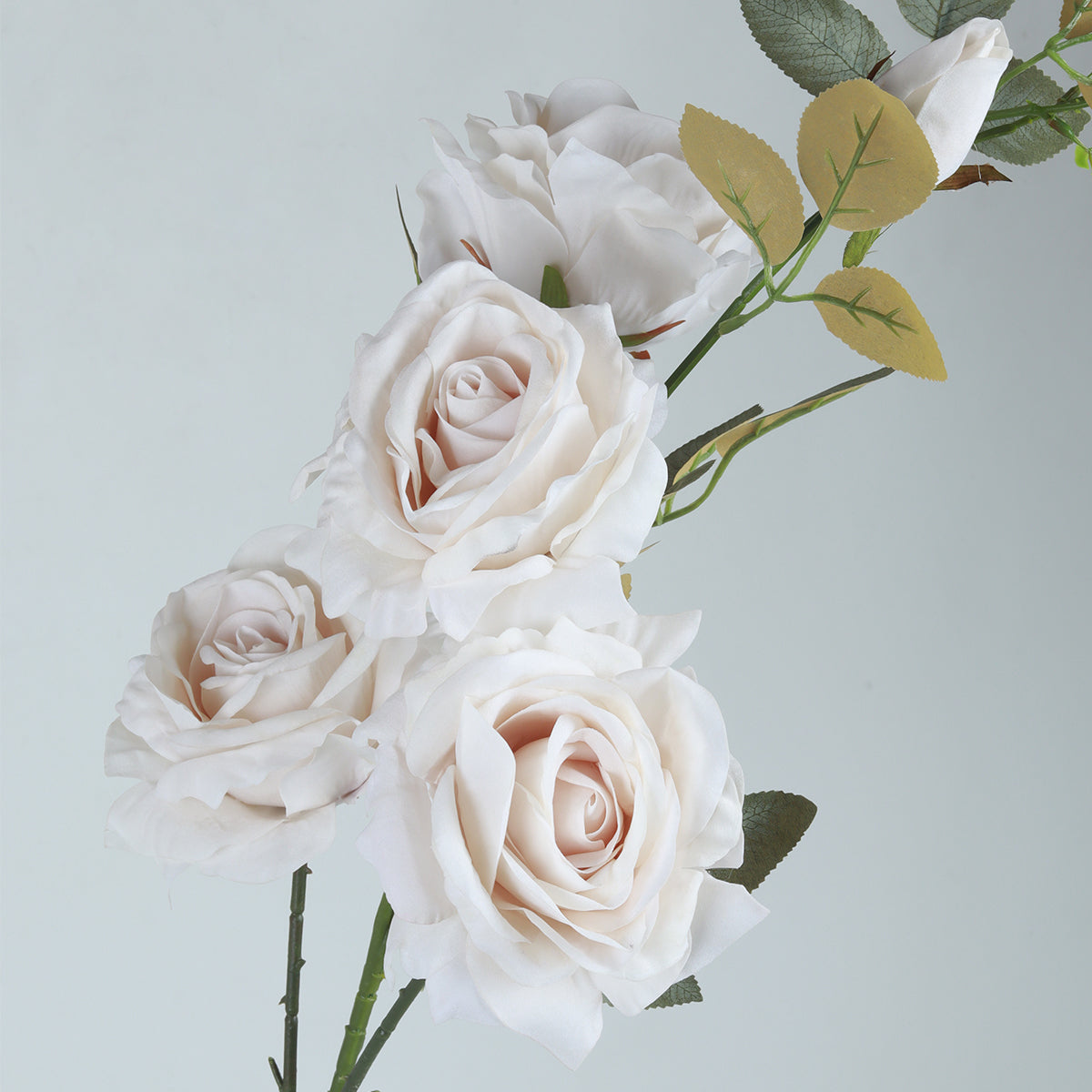 Rose Cluster White - Flower | Vinoti Living