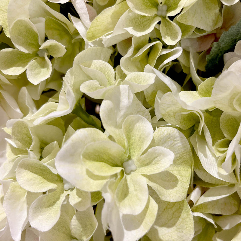 Single Hydrangea Lime Flower - Accessories | Vinoti Living