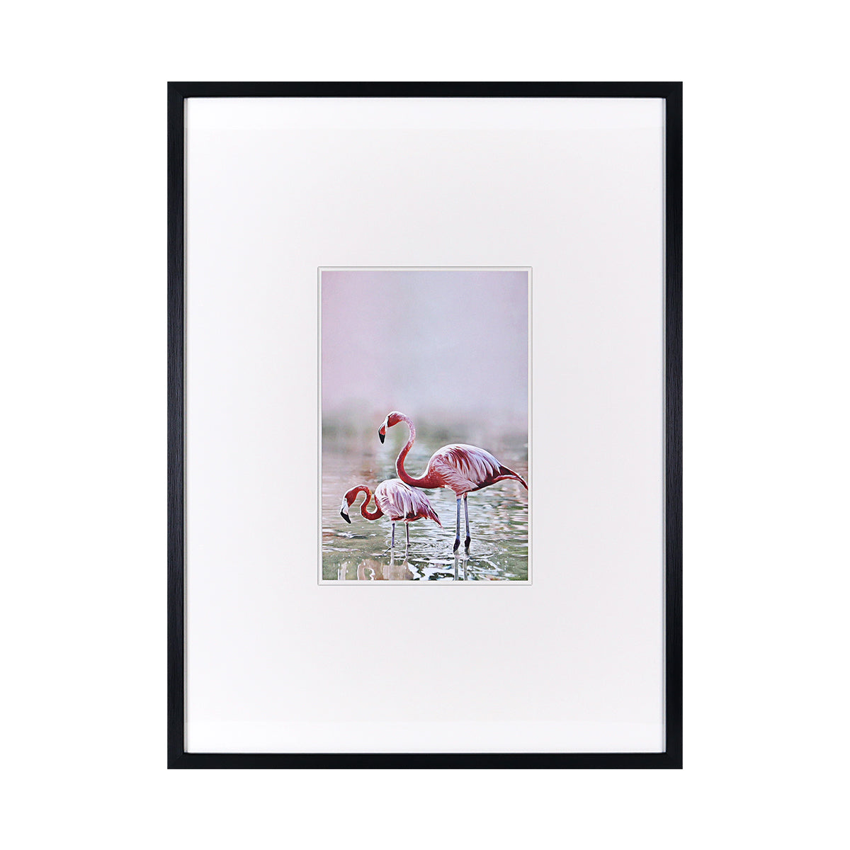 Flamingo Series Duo - Wall Art | Vinoti Living