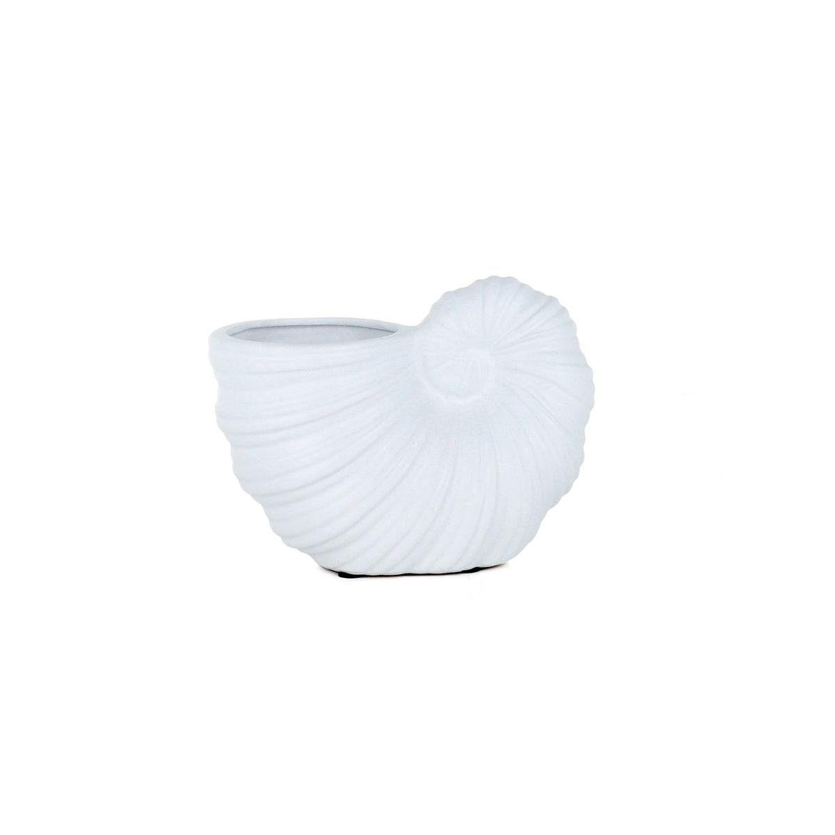 Sanibel Shell White - Vase | Vinoti Living