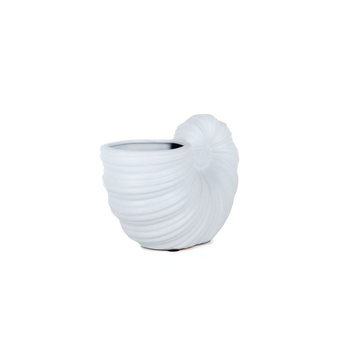 Sanibel Shell White - Vase | Vinoti Living